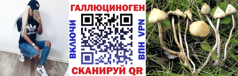 Галлюциногенные грибы прущие грибы  Вологда 